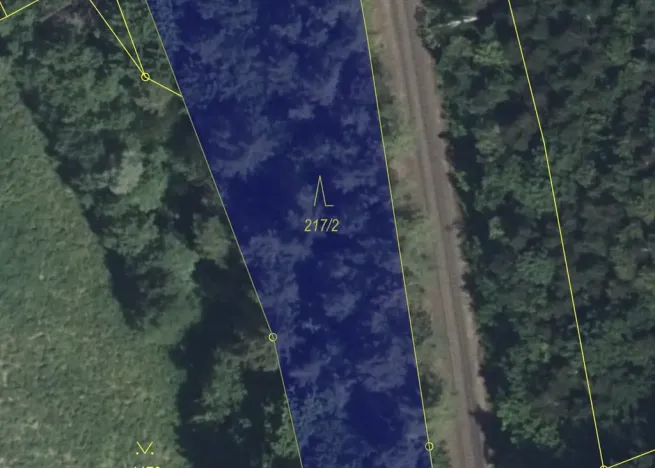 Prodej lesa, Žďárek, 2486 m2