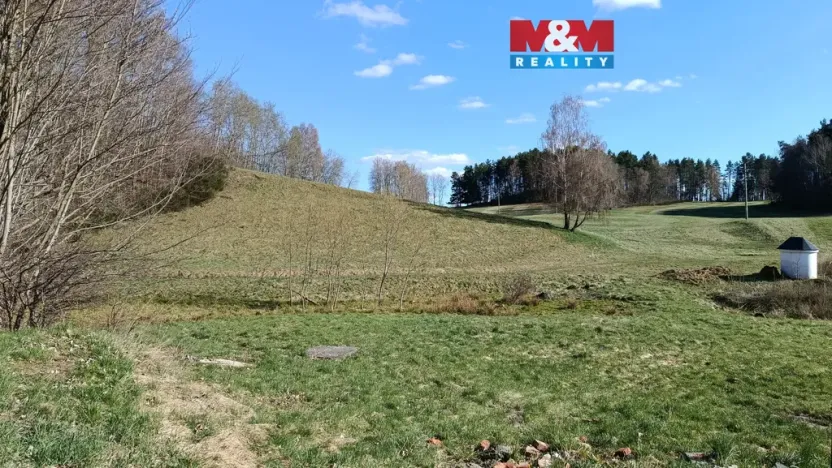 Prodej louky, Janův Důl, 2749 m2