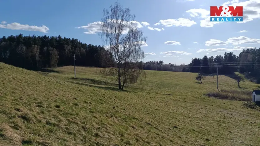 Prodej louky, Janův Důl, 2749 m2