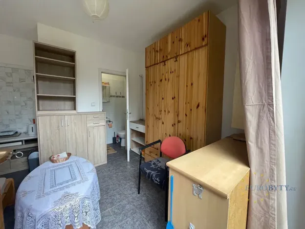 Pronájem bytu 1+kk, Zvole, Havraní, 12 m2