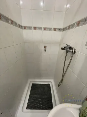 Pronájem bytu 1+kk, Zvole, Havraní, 12 m2