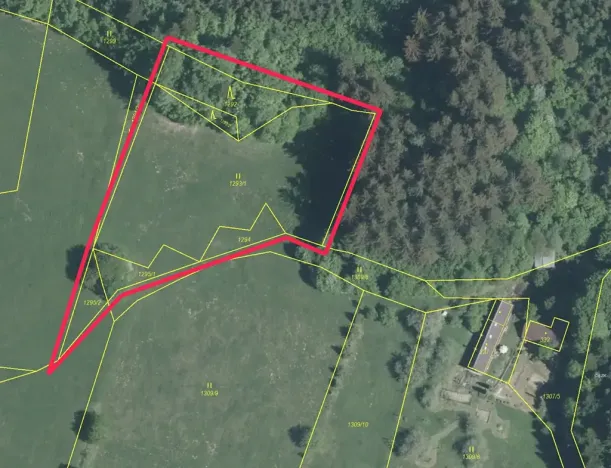 Prodej louky, Prlov, 4463 m2