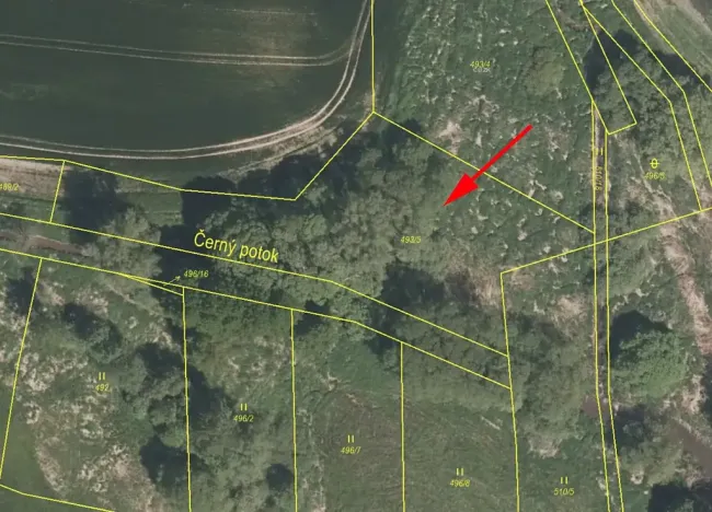 Prodej louky, Dub, 3051 m2