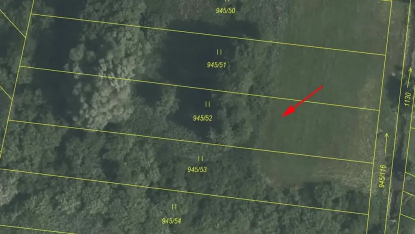 Prodej louky, Cerekvice nad Loučnou, 1828 m2