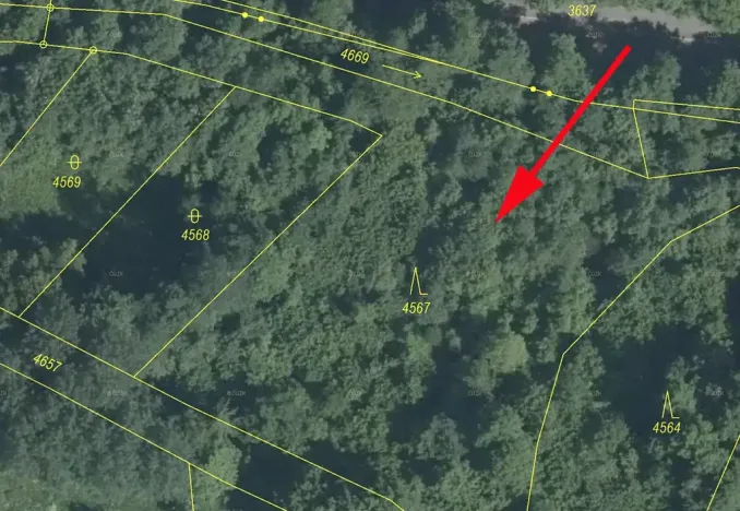 Prodej lesa, Železný Brod, 3547 m2