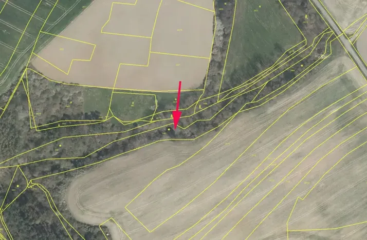 Prodej lesa, Dobříč, 4593 m2