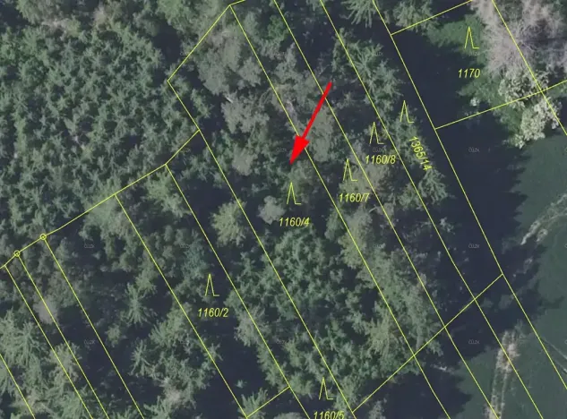 Prodej lesa, Trhový Štěpánov, 1133 m2