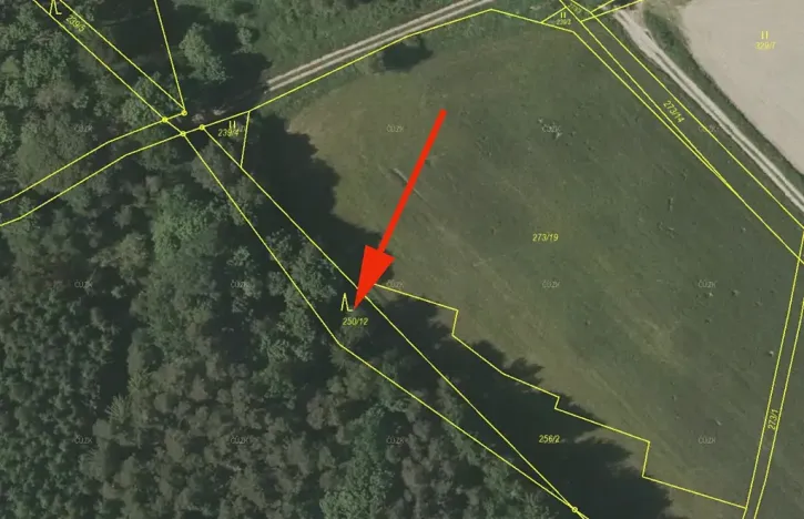 Prodej lesa, Všeruby, 892 m2