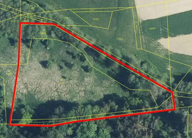 Prodej louky, Libchavy, 8415 m2