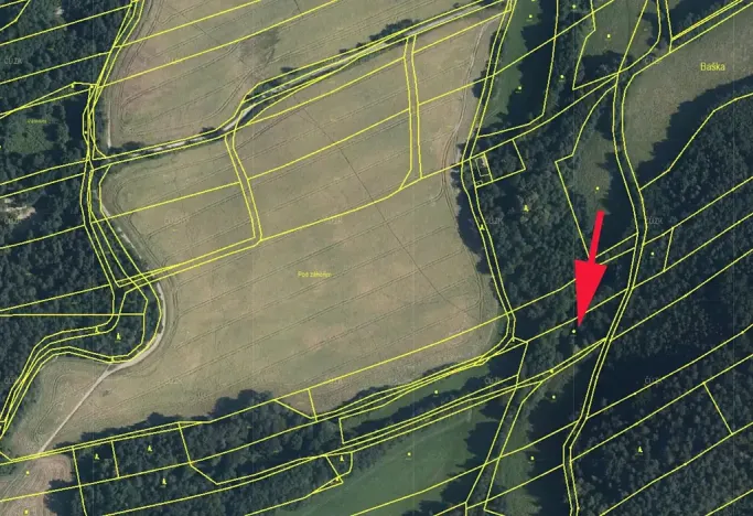 Prodej lesa, Baška, 2609 m2