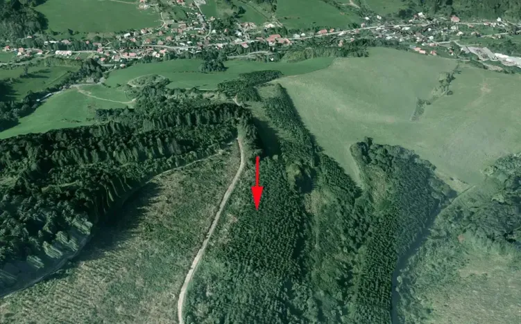 Prodej lesa, Lhota u Vsetína, 1591 m2