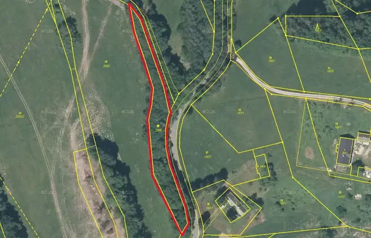 Prodej lesa, Dubnice, 2000 m2