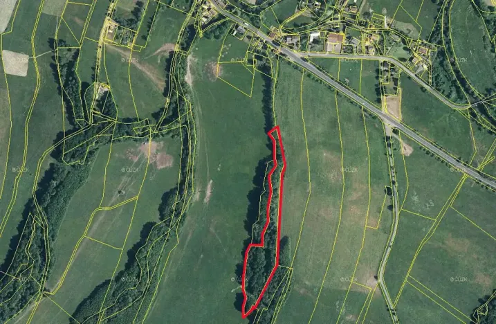 Prodej lesa, Stružnice, 14444 m2