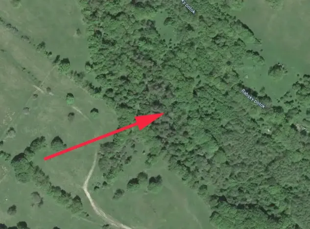 Prodej lesa, Trutnov, 21468 m2