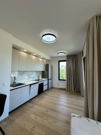 Pronájem bytu 2+kk, Praha - Karlín, Sokolova, 67 m2