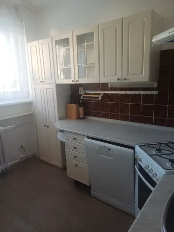 Pronájem bytu 3+1, Brno, Renneská třída, 72 m2