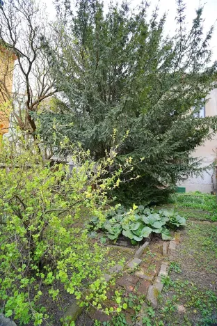 Prodej rodinného domu, Kralupy nad Vltavou, Jana Palacha, 132 m2