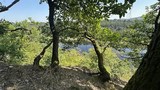 Prodej chaty, Štěchovice, 150 m2