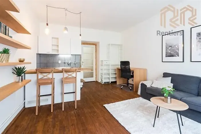Pronájem bytu 1+kk, Praha - Žižkov, Radhošťská, 30 m2