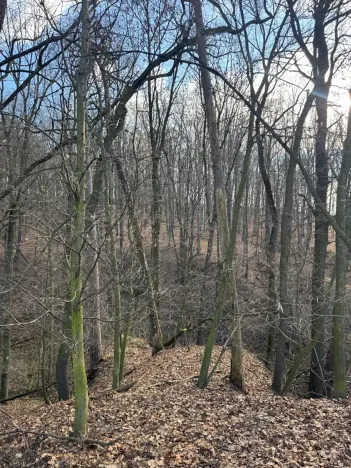 Prodej lesa, Kroměříž, 1674 m2