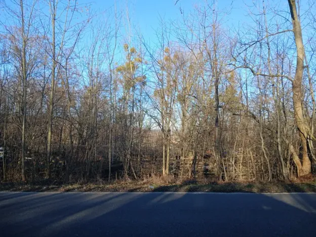 Dražba pozemku, Mladeč, 31766 m2