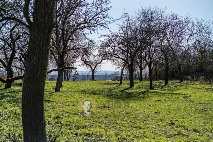 Prodej rodinného domu, Střemy, 100 m2