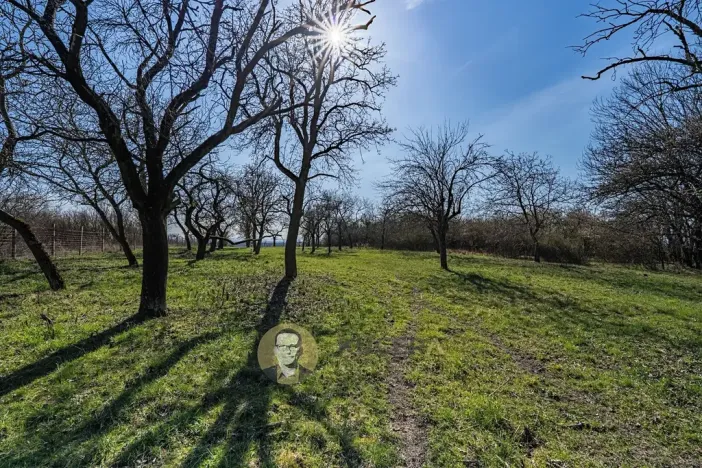 Prodej pozemku pro bydlení, Střemy, 3158 m2