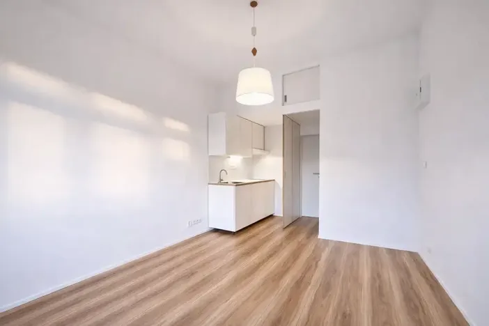 Pronájem bytu 1+kk, Praha - Holešovice, Na Maninách, 22 m2