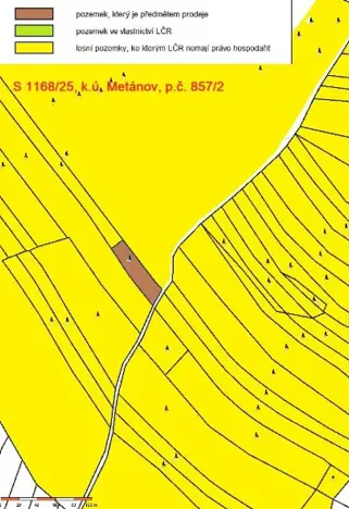 Prodej lesa, Častrov, 1295 m2