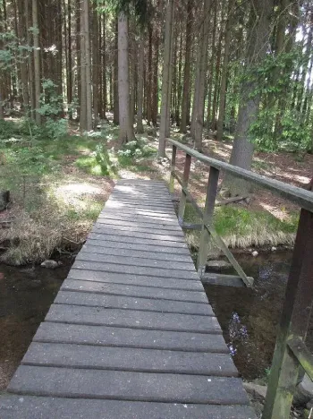 Prodej louky, Velký Šenov - Leopoldka, 3266 m2