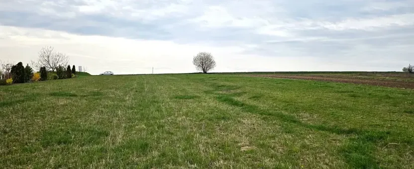 Prodej pozemku pro bydlení, Borkovany, 1606 m2