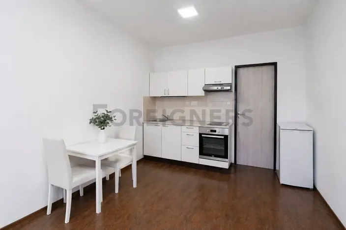Pronájem bytu 1+kk, Brno, Bratislavská, 25 m2