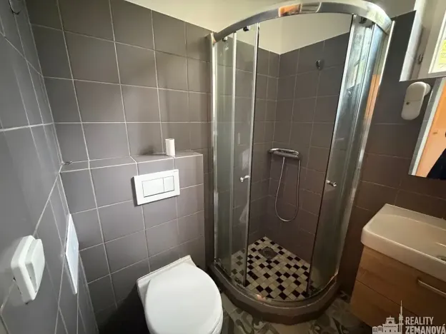 Pronájem bytu 1+1, Praha - Smíchov, Vltavská, 40 m2