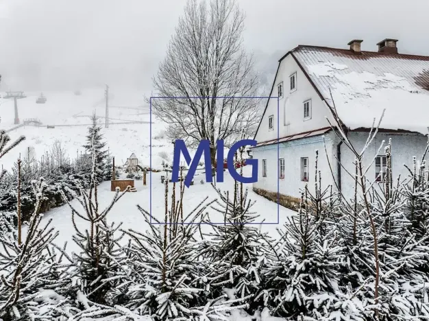 Prodej chalupy, Staré Město, 240 m2