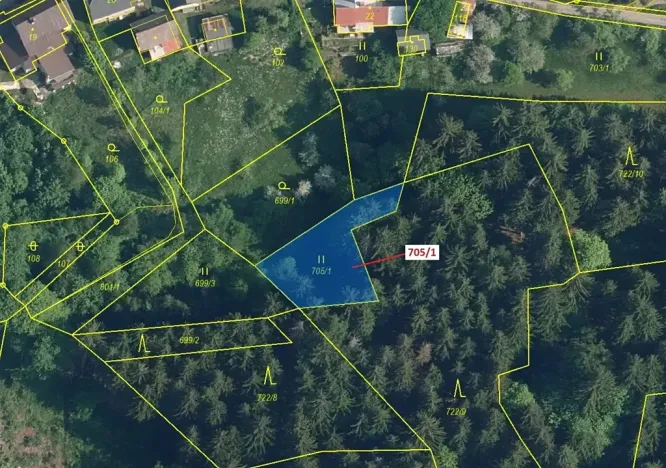 Dražba louky, Zlatá Olešnice, 438 m2