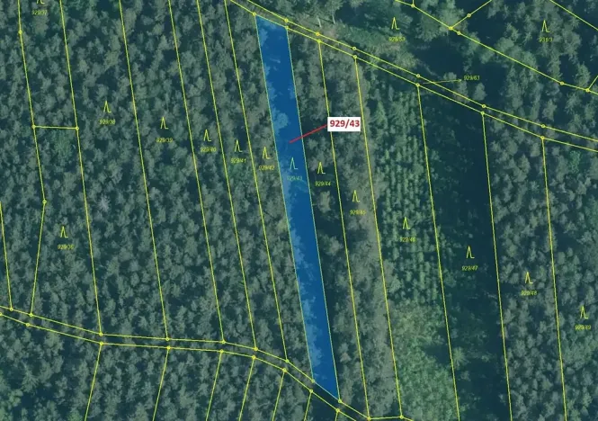 Dražba lesa, Hosty, 1258 m2