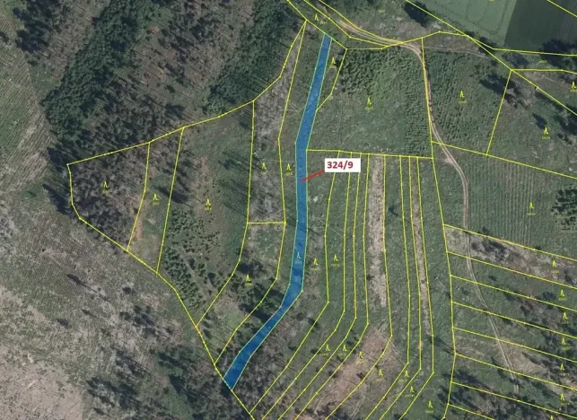 Dražba lesa, Chotěbudice, 1978 m2