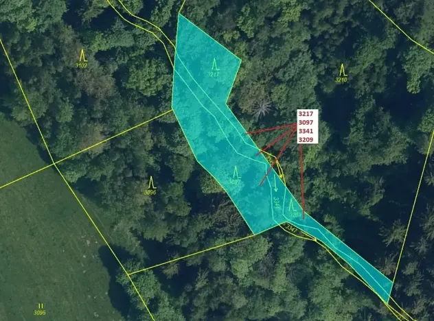 Dražba lesa, Benešov u Semil, 1649 m2