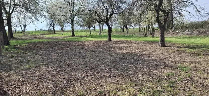 Prodej pozemku, Jenišovice, 871 m2