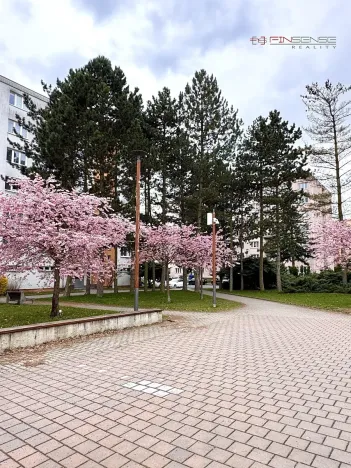 Prodej bytu 2+1, Kladno, Wednesbury, 50 m2