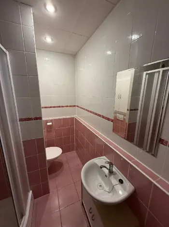 Prodej bytu 2+1, Orlová, F. S. Tůmy, 43 m2