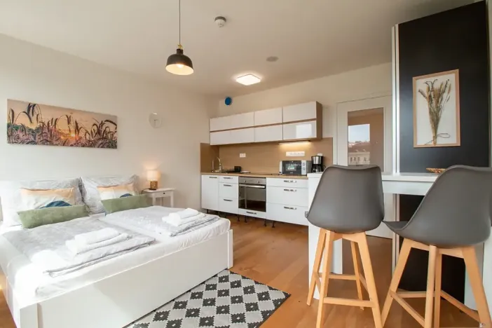 Pronájem bytu 1+kk, Praha - Vinohrady, Perucká, 25 m2