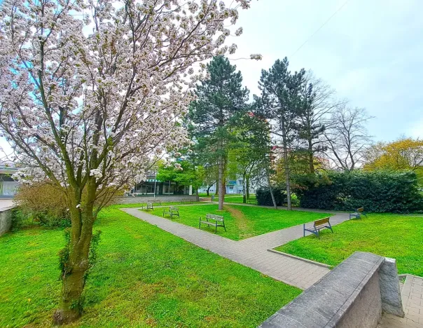 Prodej bytu 3+1, Uherské Hradiště, Na Rybníku, 79 m2