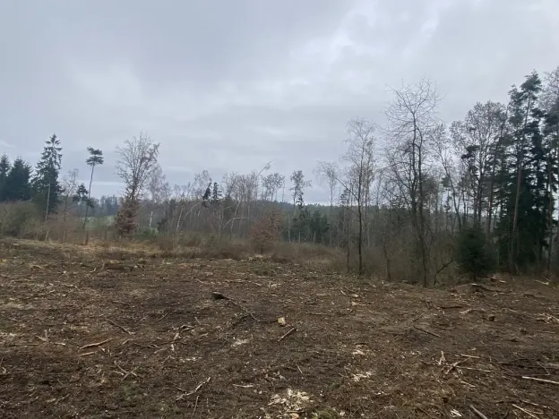 Prodej lesa, Blížejov - Lštění, 7793 m2