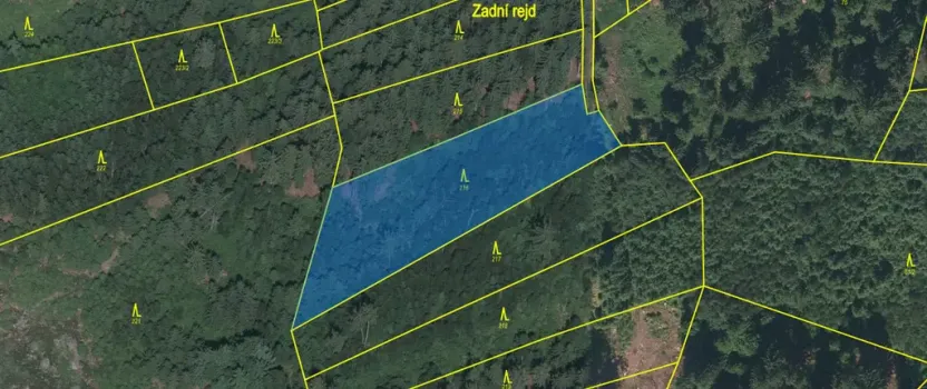 Prodej lesa, Kolinec - Buršice, 3423 m2