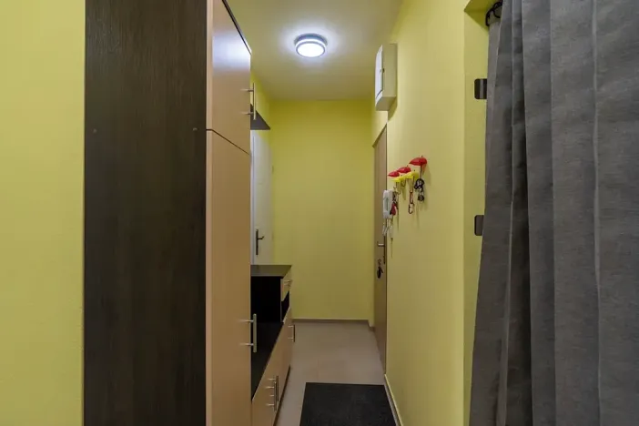 Prodej bytu 2+1, Brno, Foerstrova, 54 m2