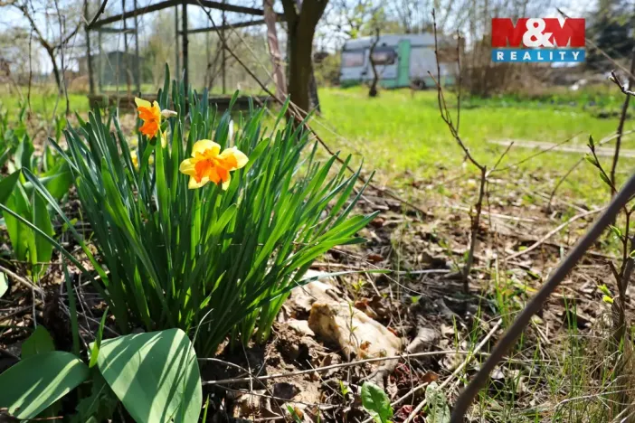 Prodej zahrady, Čáslav, 270 m2