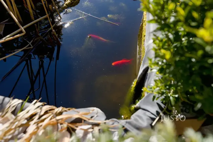Prodej rodinného domu, Velké Březno, Pod Vartou, 148 m2