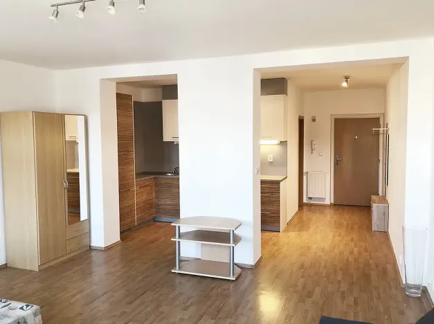 Pronájem bytu 1+kk, Praha - Žižkov, Prokopova, 46 m2