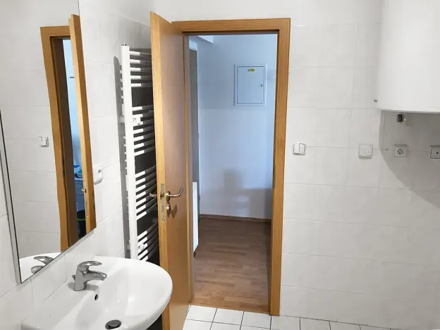 Pronájem bytu 1+kk, Praha - Žižkov, Prokopova, 46 m2